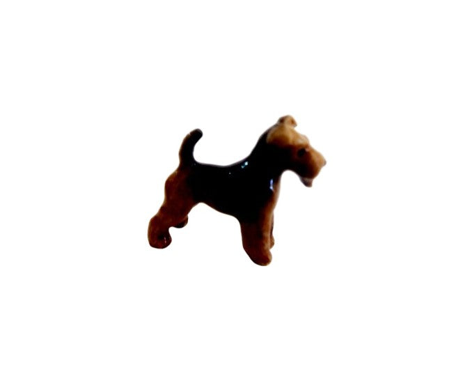 Airdale terrier Mini