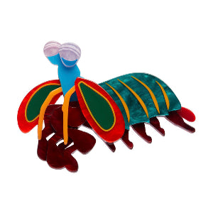 Peacock Mantis Shrimp Erstwilder Brooch