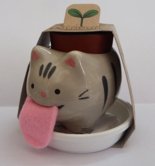 Seishin Peropon Cat plant Growing Kit Sweet Basil