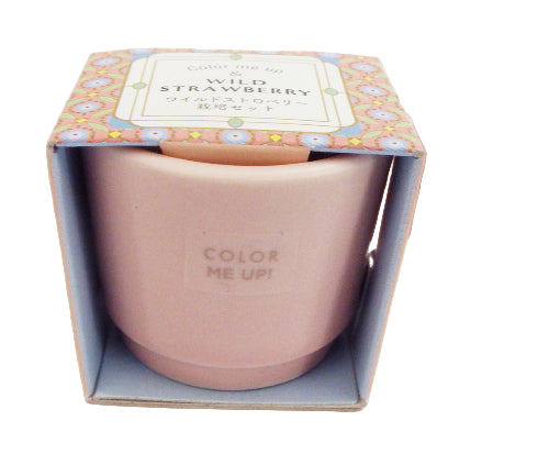 Pink mug with floral packaging on a white background