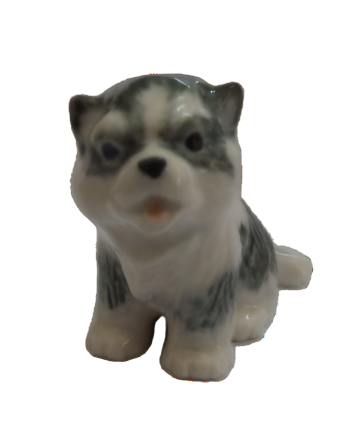 Alaskan malamute puppy