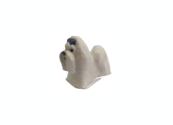 Maltese Mini Blue Ribbon