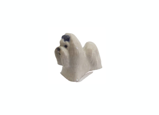 Maltese Mini Blue Ribbon
