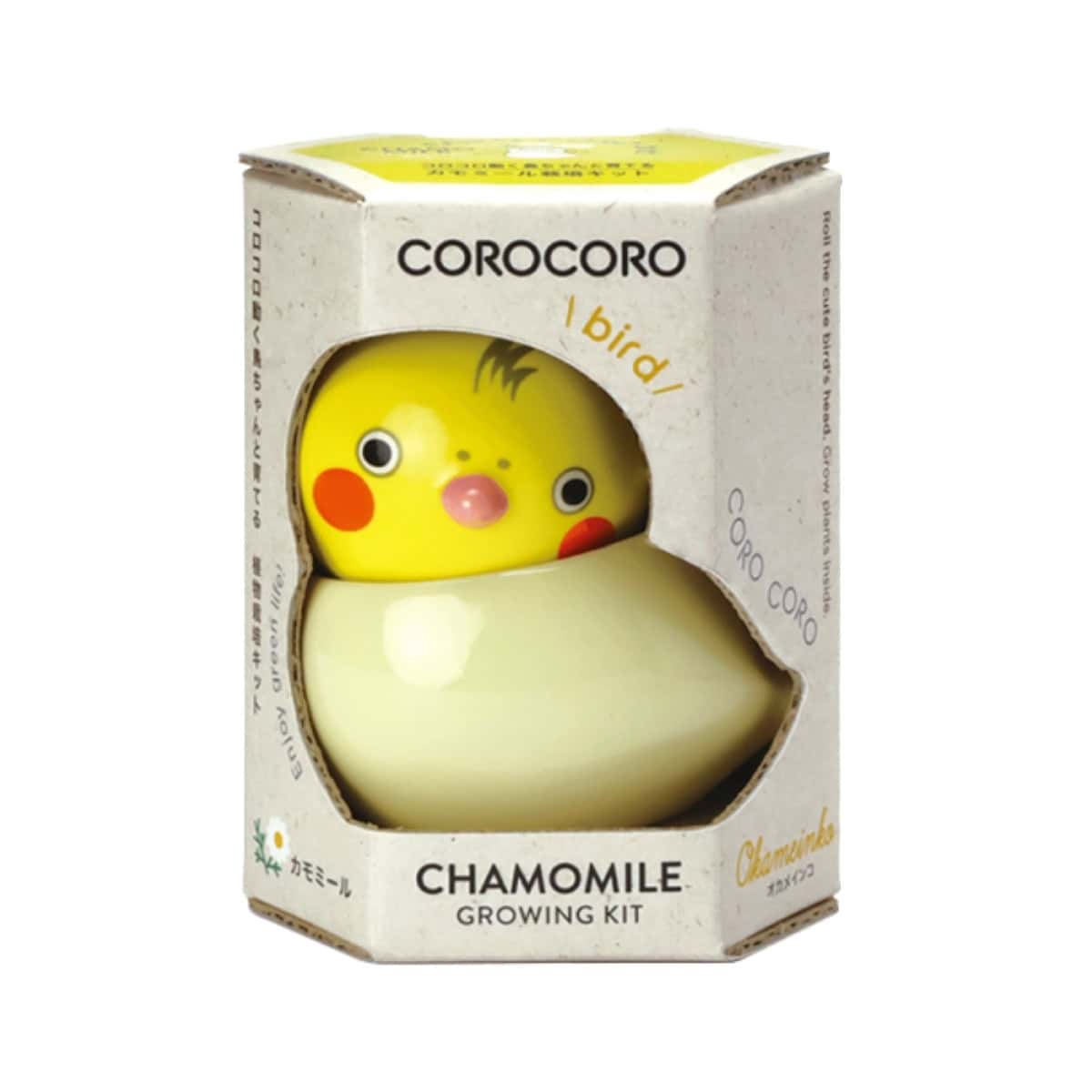 Coro Coro Bird Chamomile Plant Growing Kit