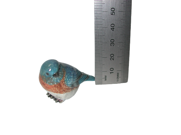 Blue Bird Small