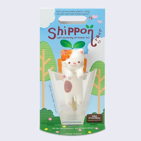 shippon cat wild Strawberry Plant growing kit