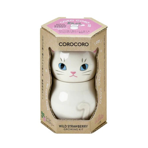 White cat-shaped container with blue eyes in a Corocoro branded box on a white background