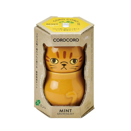 Seishin Coro Coro  cat Plant Kits Mint