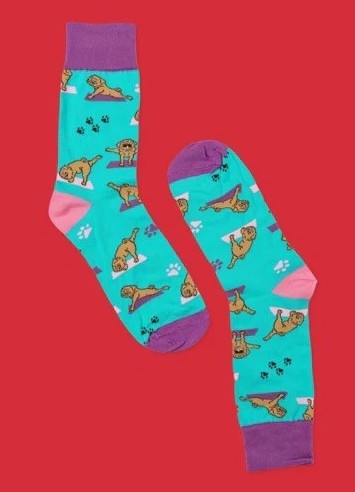 image Downward Dog Sock it up socks