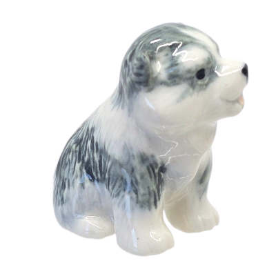 Alaskan Malamute puppy