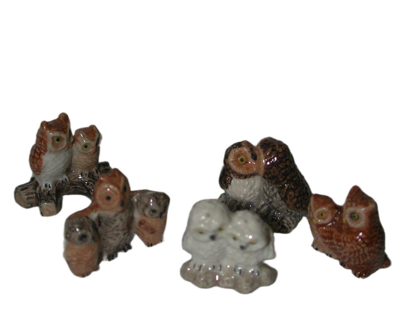 Mini Owl Set
