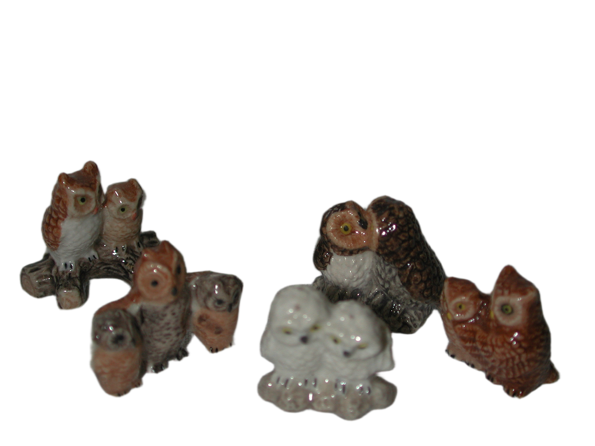 Mini Owl Set