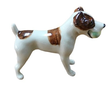 jack Russel with Ball