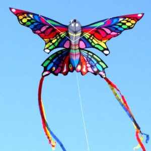 Rainbow butterfly kite
