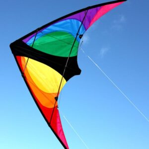 Stinger Stunt Kite