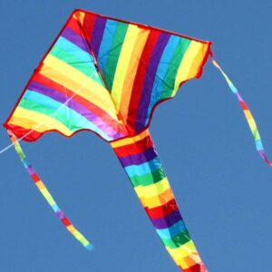 Rainbow Delta Kite