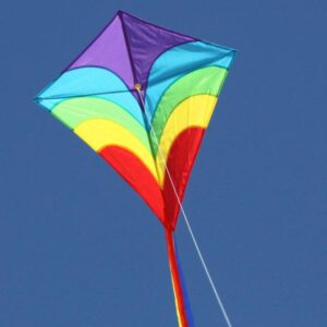 Waves Diamond Kite