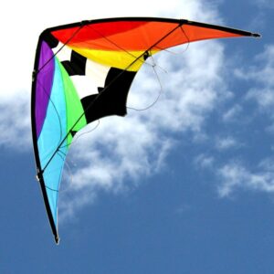Stunt Master Sports Kite