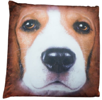Beagle Pet Close Up Cushion