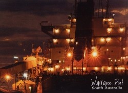Post Card Wallaroo Port South Australia