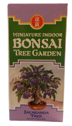 Bonsai Tree garden Kits Jacaranda