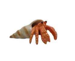 Hermit Crab miniature porcelain figurine