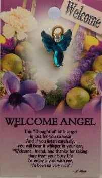 Welcome Guardian Angel Pin