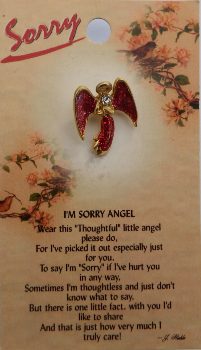 image Sorry Guardian Angel Pin
