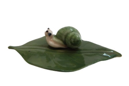 snail Leaf