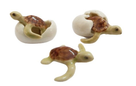 Small Turtles in Eggs set 3