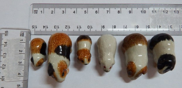 Guinea Pig Family Set 6