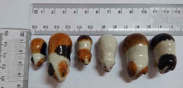 Guinea Pig Family Set 6