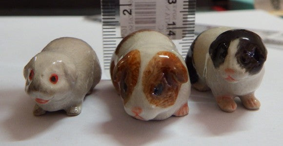 Guinea Pig Family Set 6