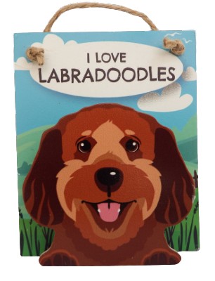 I love Labradoodles  Chocolate  Pet peg