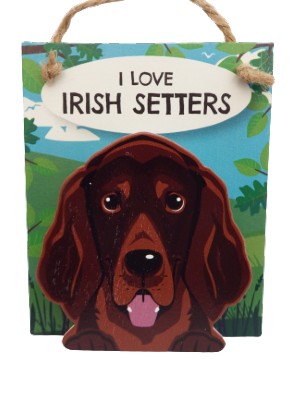 I Love Irish Setters Pet Pegs