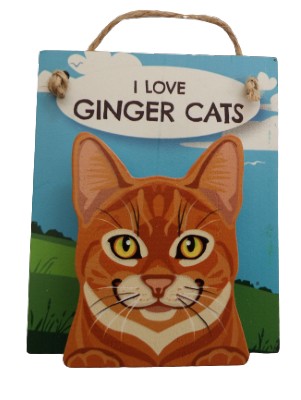 I Love Ginger cats Pet Pegs