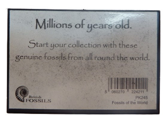 Fossils of the world Mini Collection