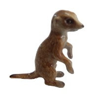 MeerKat Mini new