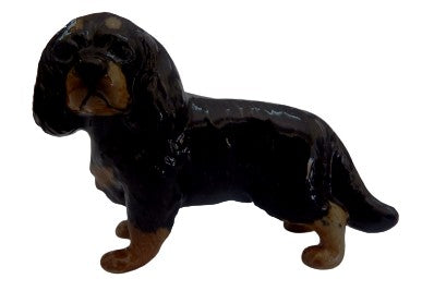 Cavalier King Charles SpanieL BLACK BROWN