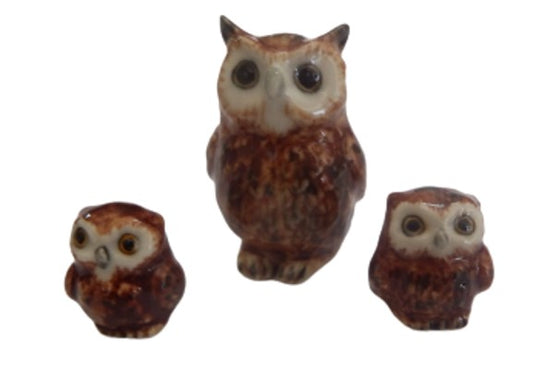 owl with babies