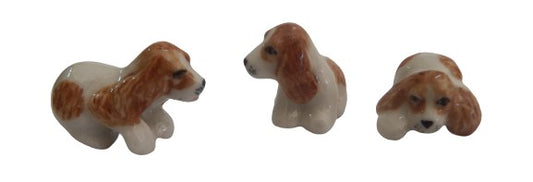 king Charles mini Dogs Brown White Set 3