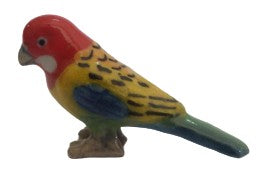 Australian rosella small