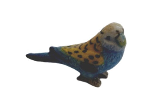 Pale Headed Rosella Small
