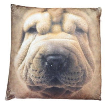 Sharpei Close Up Cushion