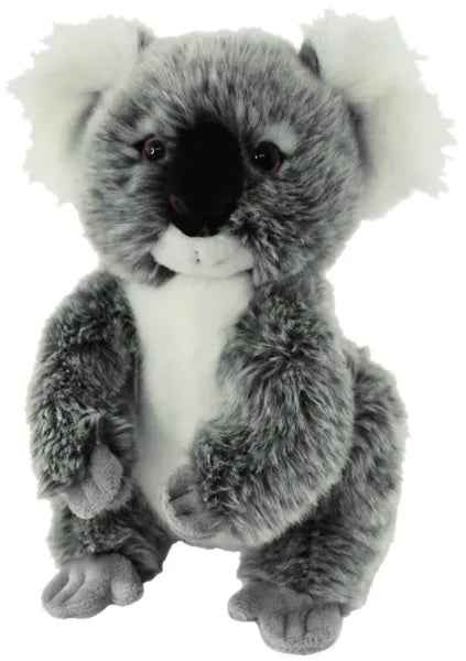 Koala Jarrah 30cm
