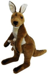 Kangaroo Mallee 33 Cm