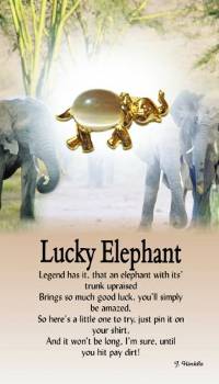 image Lucky Elephant Angel pin