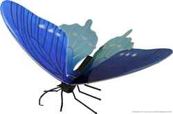 Metal Earth PipeVine Swallowtail Butterfly model kit