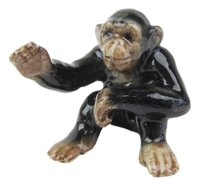 Chimpanzee Baby