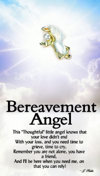 image Bereavement Guardian Angel pin